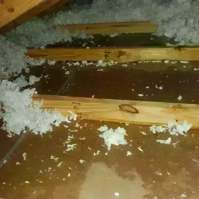 Attic Water Damage in Riverside, IA