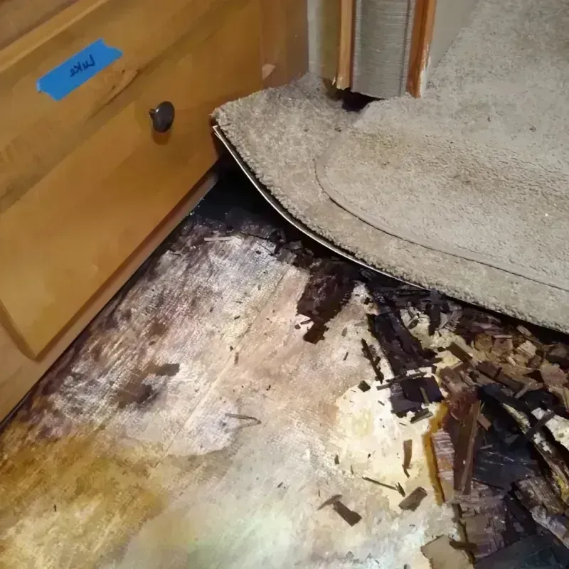 Wood Floor Water Damage in Riverside, IA